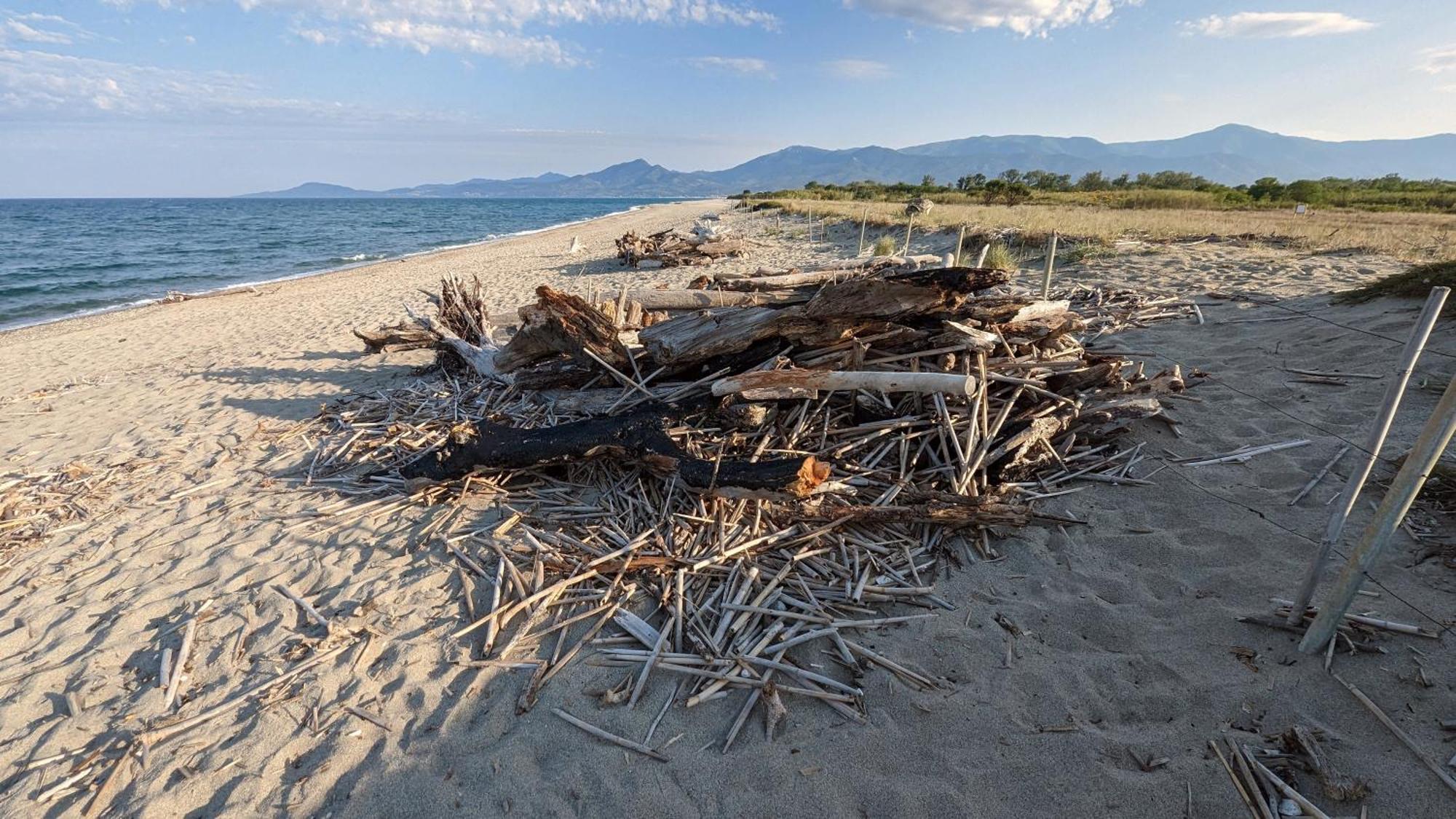 Hotel Le Maritime Argelès-sur-Mer Zewnętrze zdjęcie